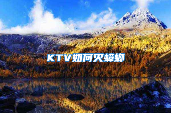 KTV如何灭蟑螂