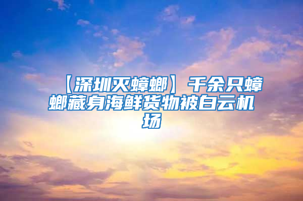 【深圳灭蟑螂】千余只蟑螂藏身海鲜货物被白云机场