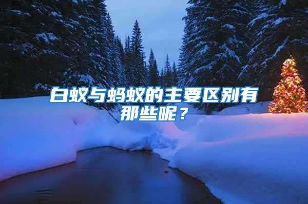 白蚁与蚂蚁的主要区别有那些呢？