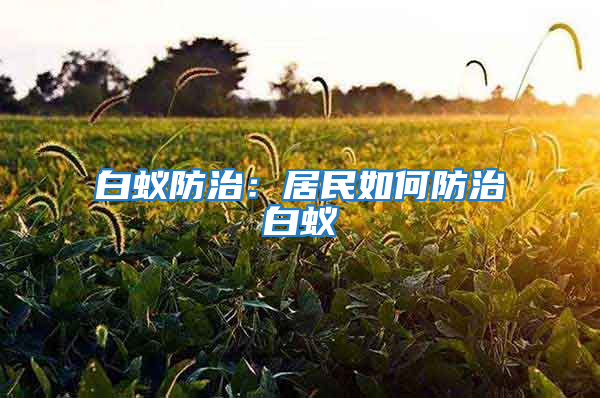 白蚁防治：居民如何防治白蚁