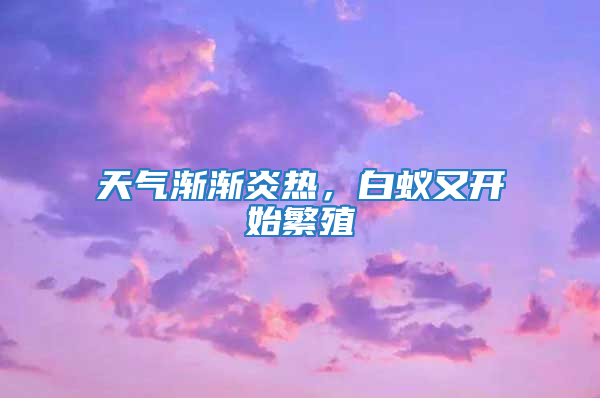 天气渐渐炎热，白蚁又开始繁殖