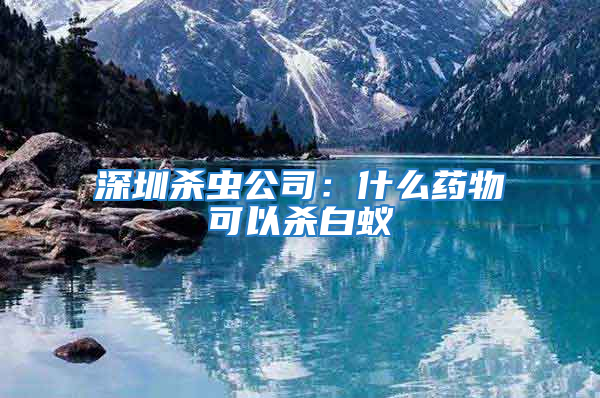 深圳杀虫公司：什么药物可以杀白蚁
