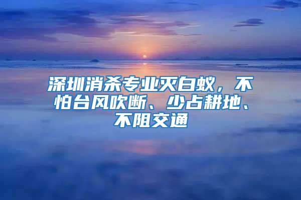 深圳消杀专业灭白蚁，不怕台风吹断、少占耕地、不阻交通