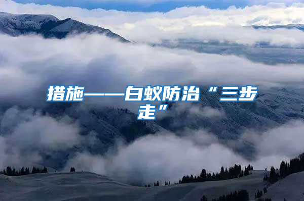措施——白蚁防治“三步走”