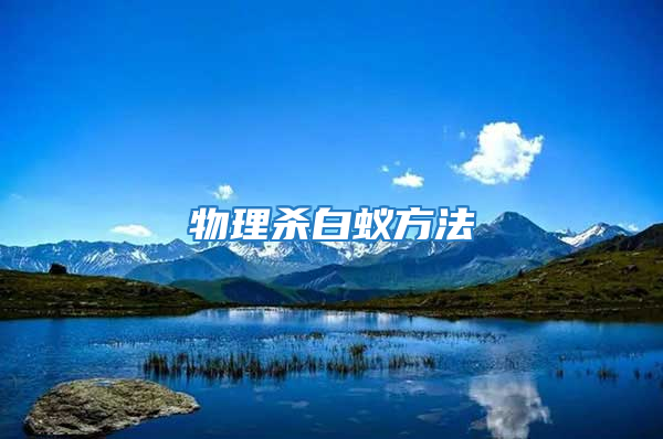 物理杀白蚁方法