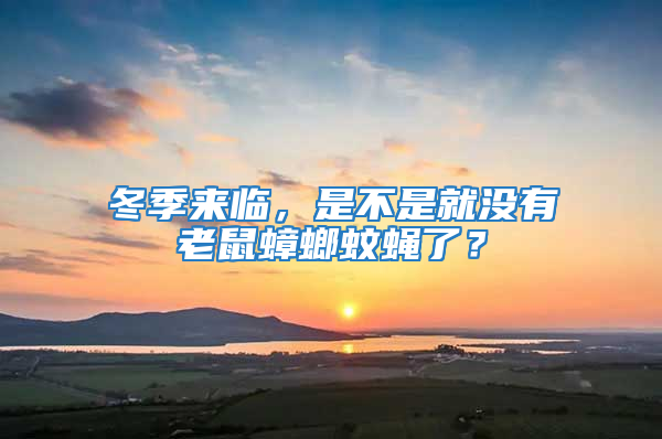 冬季来临，是不是就没有老鼠蟑螂蚊蝇了？
