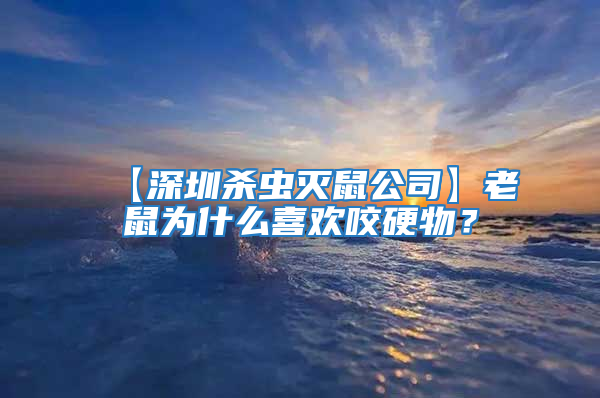 【深圳杀虫灭鼠公司】老鼠为什么喜欢咬硬物？