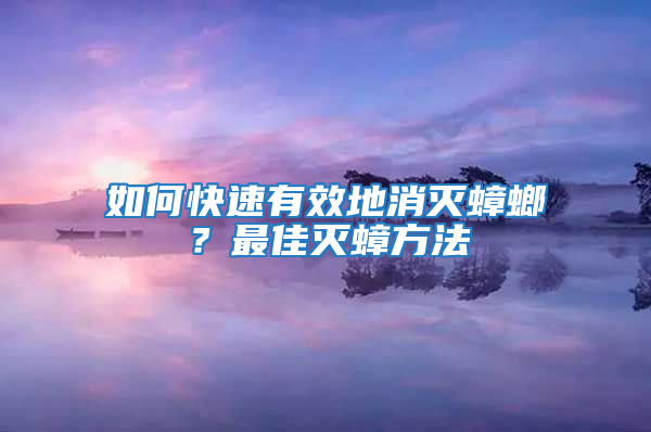 如何快速有效地消灭蟑螂？最佳灭蟑方法