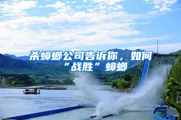 杀蟑螂公司告诉你，如何“战胜”蟑螂