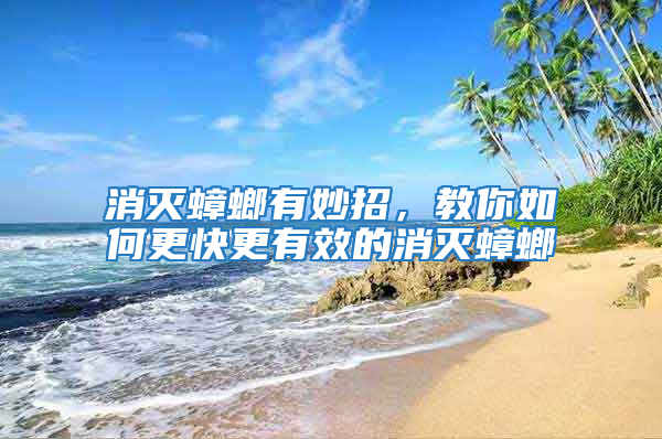消灭蟑螂有妙招，教你如何更快更有效的消灭蟑螂
