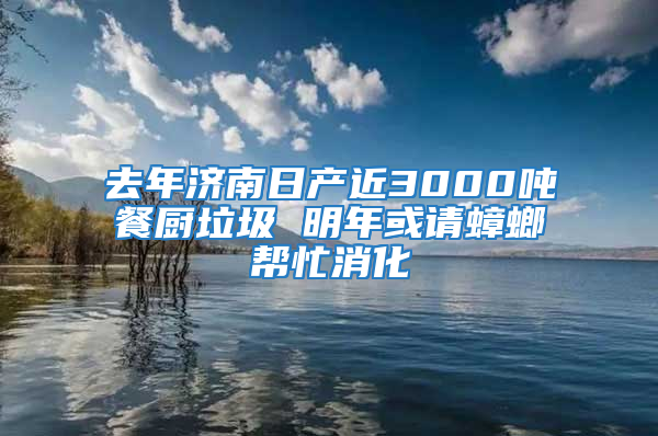 去年济南日产近3000吨餐厨垃圾 明年或请蟑螂帮忙消化