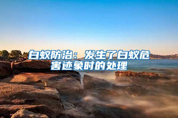 白蚁防治：发生了白蚁危害迹象时的处理