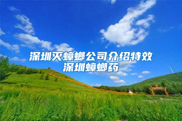 深圳灭蟑螂公司介绍特效深圳蟑螂药