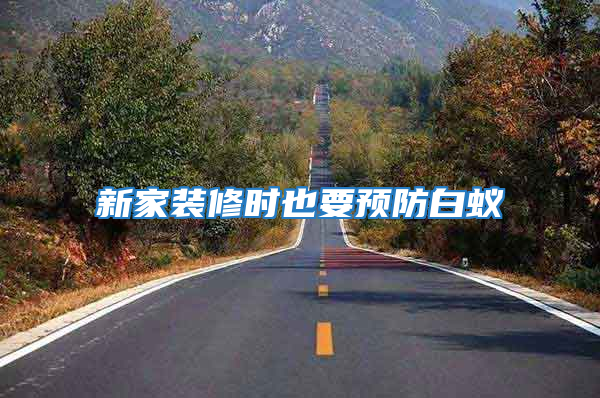 新家装修时也要预防白蚁