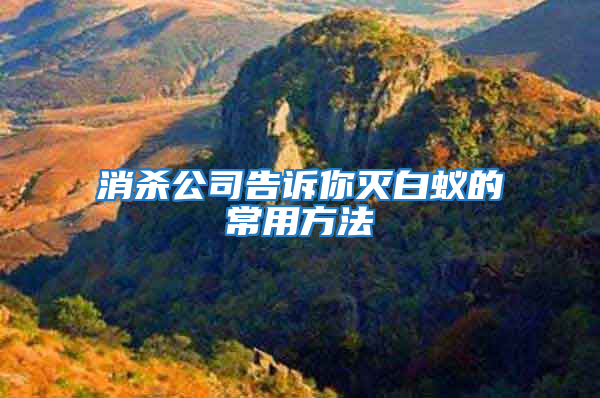 消杀公司告诉你灭白蚁的常用方法