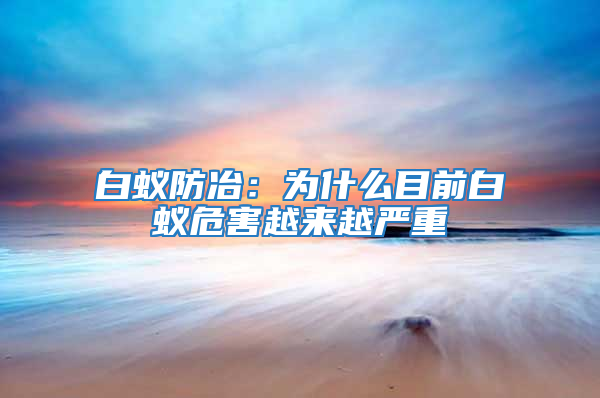 白蚁防冶：为什么目前白蚁危害越来越严重
