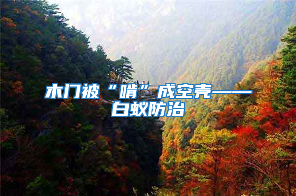 木门被“啃”成空壳——白蚁防治