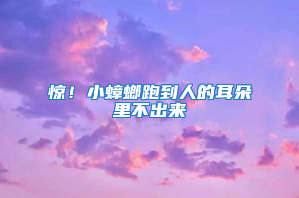 惊！小蟑螂跑到人的耳朵里不出来