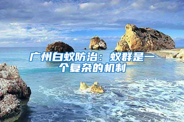 广州白蚁防治：蚁群是一个复杂的机制