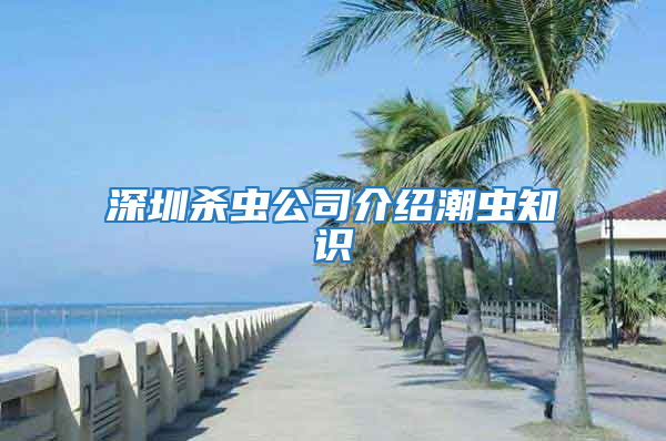 深圳杀虫公司介绍潮虫知识