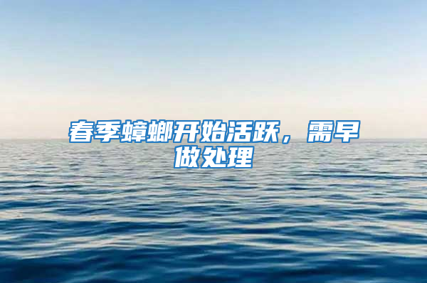 春季蟑螂开始活跃，需早做处理
