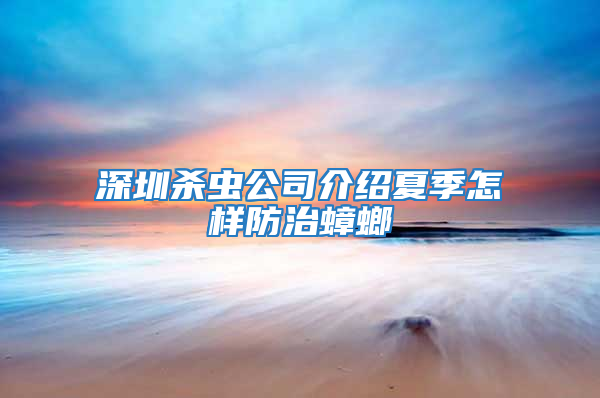 深圳杀虫公司介绍夏季怎样防治蟑螂