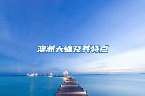 澳洲大蠊及其特点