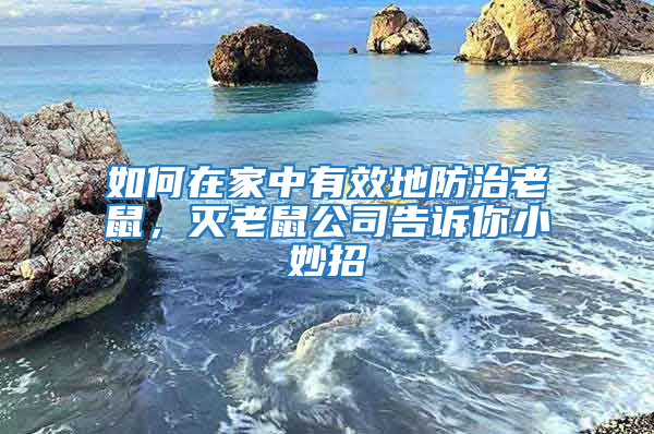 如何在家中有效地防治老鼠，灭老鼠公司告诉你小妙招