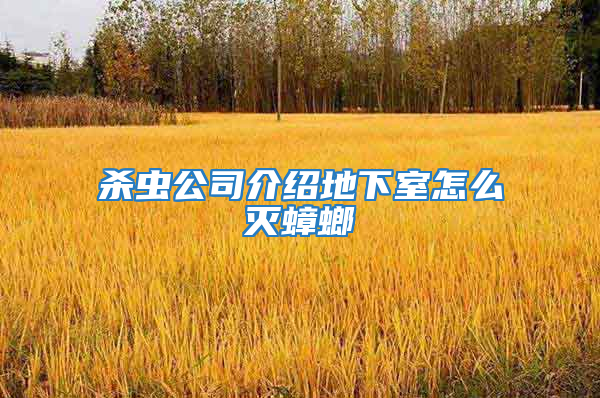 杀虫公司介绍地下室怎么灭蟑螂