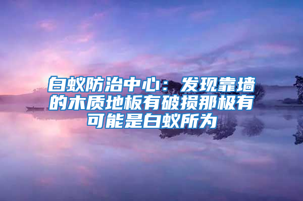 白蚁防治中心：发现靠墙的木质地板有破损那极有可能是白蚁所为