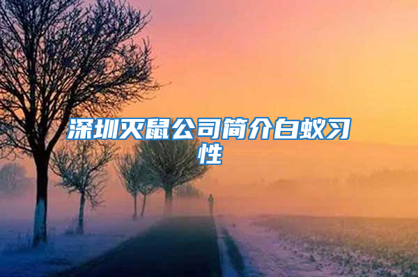 深圳灭鼠公司简介白蚁习性