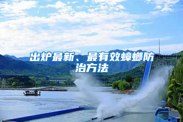 出炉最新、最有效蟑螂防治方法