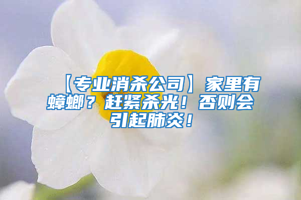 【专业消杀公司】家里有蟑螂？赶紧杀光！否则会引起肺炎！