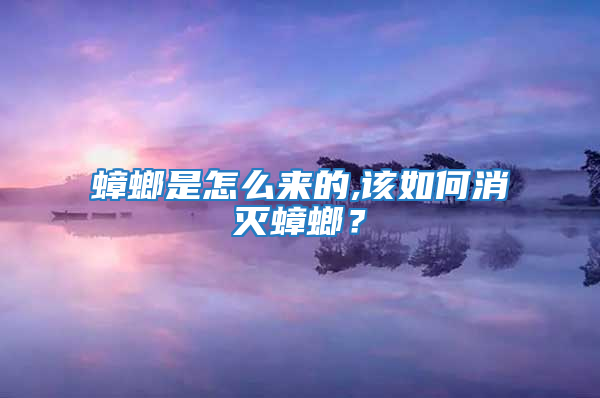 蟑螂是怎么来的,该如何消灭蟑螂？