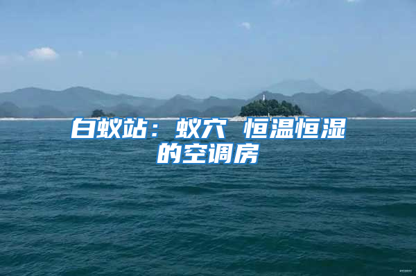 白蚁站：蚁穴 恒温恒湿的空调房