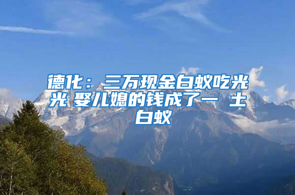 德化：三万现金白蚁吃光光　娶儿媳的钱成了一抔土 白蚁