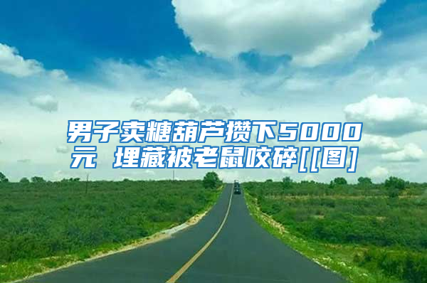 男子卖糖葫芦攒下5000元 埋藏被老鼠咬碎[[图]