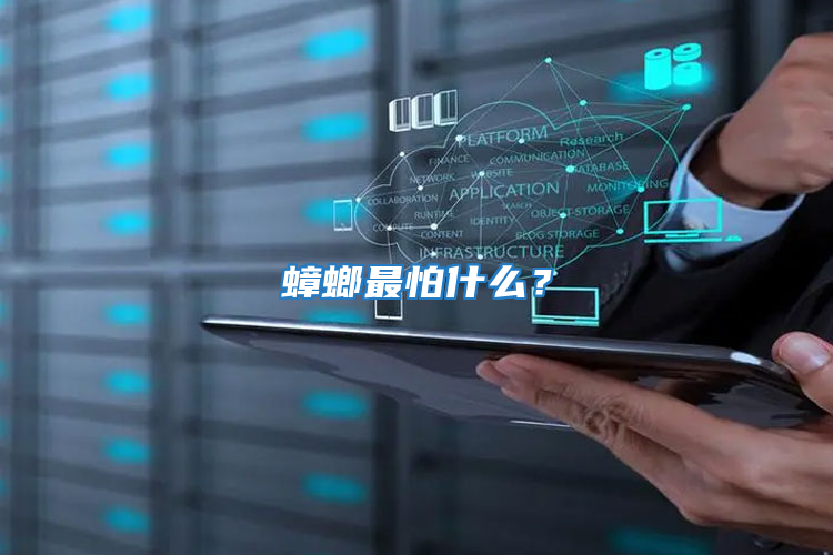 蟑螂最怕什么？