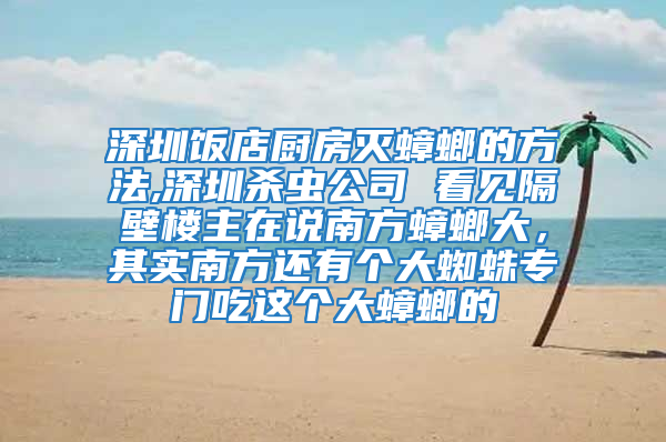 深圳饭店厨房灭蟑螂的方法,深圳杀虫公司 看见隔壁楼主在说南方蟑螂大，其实南方还有个大蜘蛛专门吃这个大蟑螂的