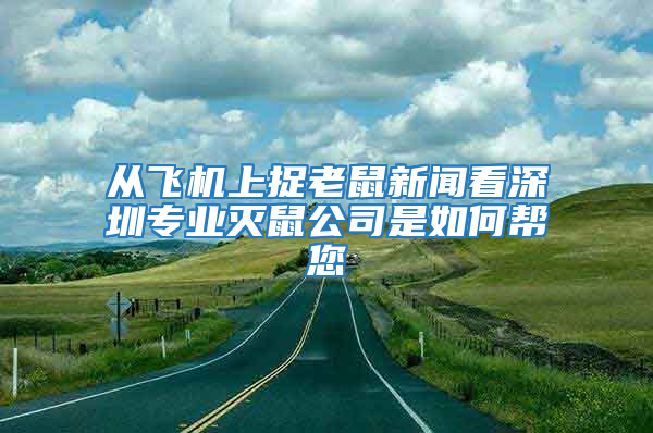 从飞机上捉老鼠新闻看深圳专业灭鼠公司是如何帮您