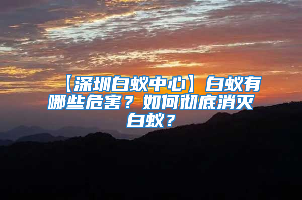 【深圳白蚁中心】白蚁有哪些危害？如何彻底消灭白蚁？