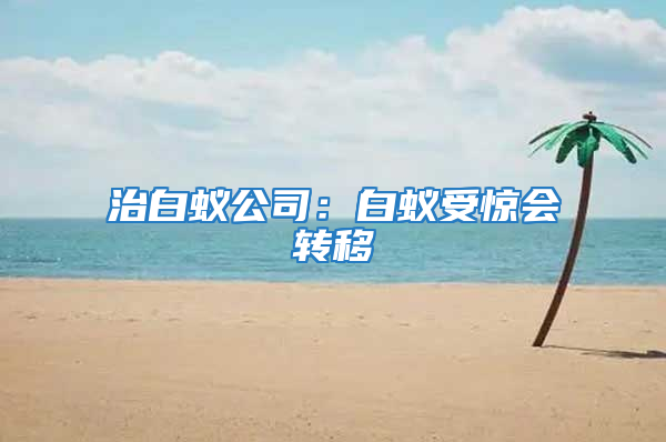 治白蚁公司：白蚁受惊会转移