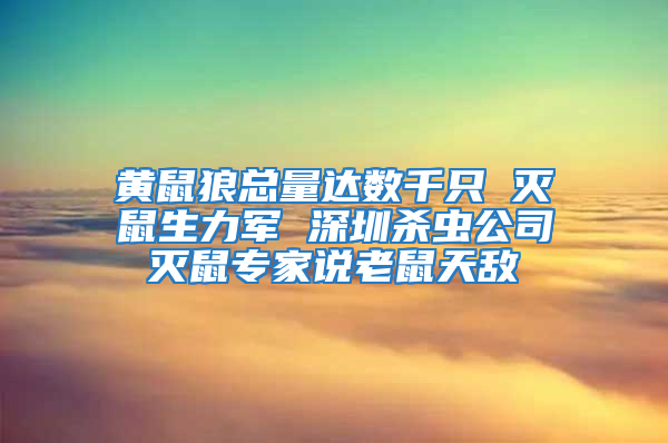 黄鼠狼总量达数千只 灭鼠生力军 深圳杀虫公司灭鼠专家说老鼠天敌