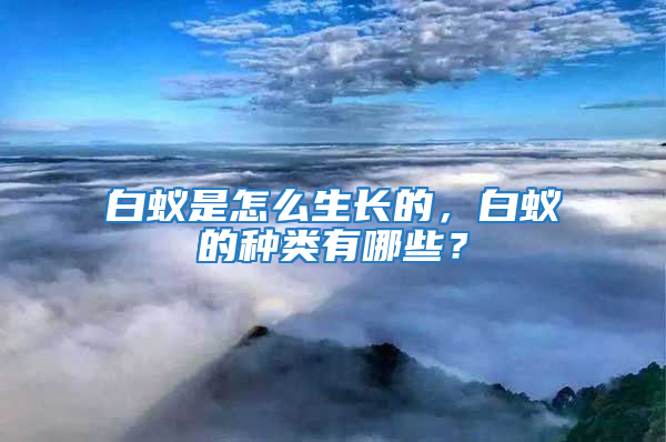 白蚁是怎么生长的，白蚁的种类有哪些？