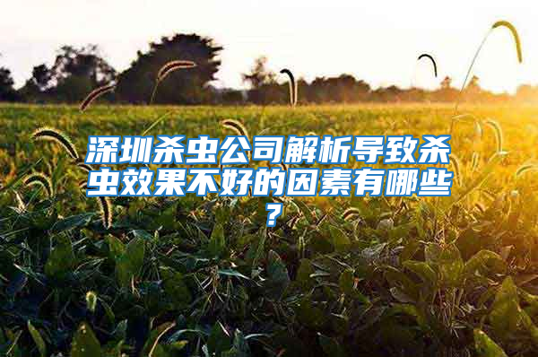 深圳杀虫公司解析导致杀虫效果不好的因素有哪些？