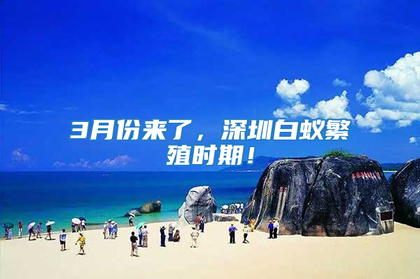 3月份来了，深圳白蚁繁殖时期！
