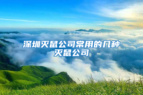 深圳灭鼠公司常用的几种灭鼠公司