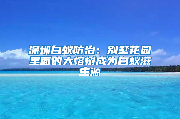 深圳白蚁防治：别墅花园里面的大榕树成为白蚁滋生源