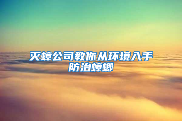 灭蟑公司教你从环境入手防治蟑螂