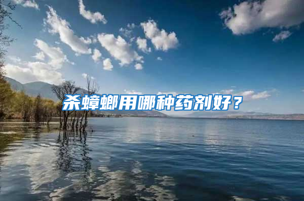 杀蟑螂用哪种药剂好？